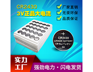 CR2430（工业装）